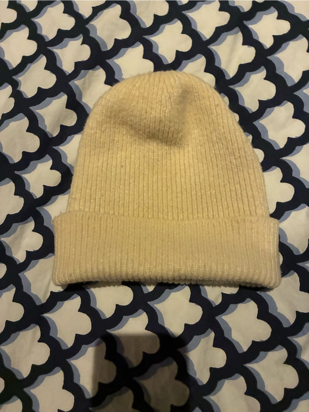 Club Monaco Cream Beanie